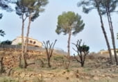 Parcel·la urbanitzable en venda a la Calle Camp del Turia, Pedreguer, ref.: TR202509 foto