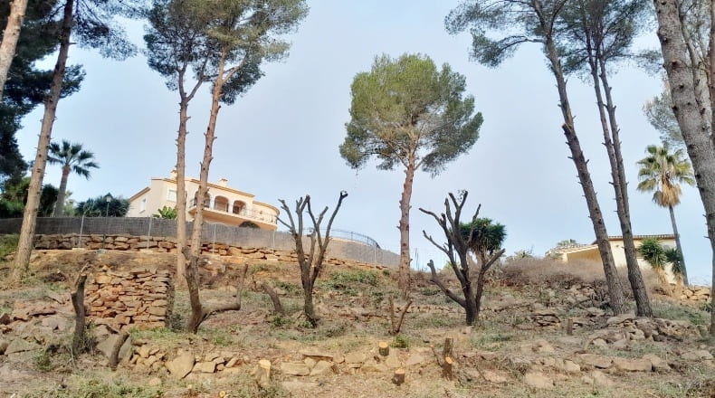 Alicante - Pedreguer - 1250m2