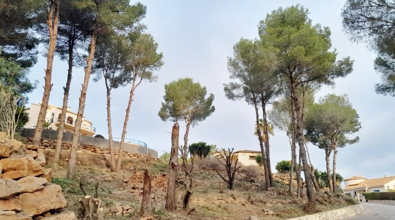 Alicante - Pedreguer - 1250m2