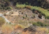 Finca rústica en venda a la MA-3201, Macharaviaya, ref.: TR207924 foto