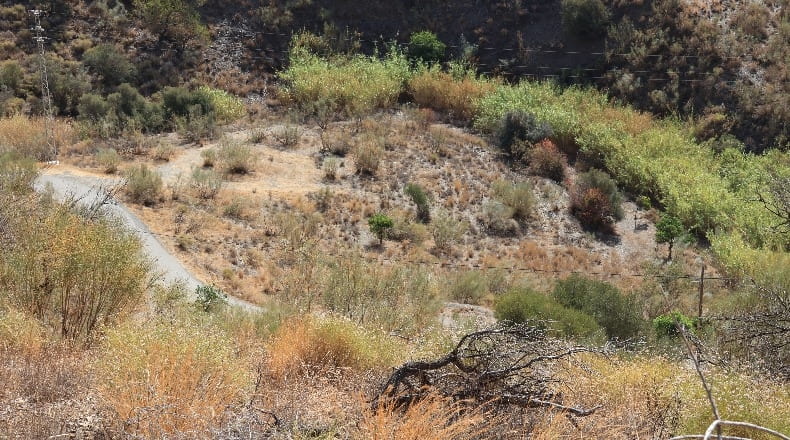 Málaga - Macharaviaya - 113000m2