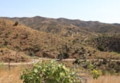 Finca rústica en venda a la MA-3201, Macharaviaya, ref.: TR207924 foto