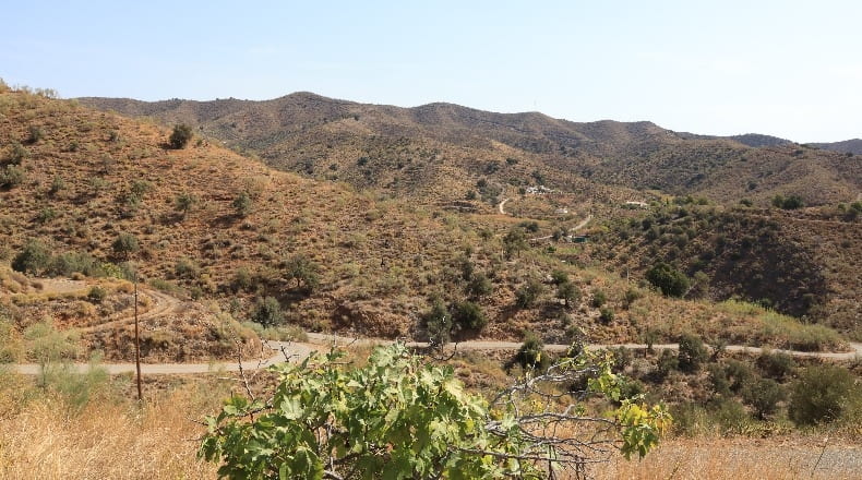 Málaga - Macharaviaya - 113000m2
