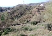 Finca rústica en venda a la MA-3201, Macharaviaya, ref.: TR207924 foto