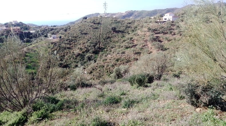 Málaga - Macharaviaya - 113000m2