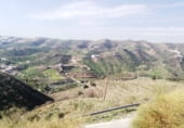 Finca rústica en venda a la MA-3201, Macharaviaya, ref.: TR207924 foto