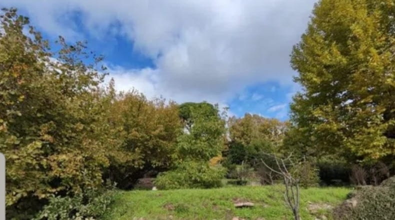 Ávila - Arenas de San Pedro - 4200m2