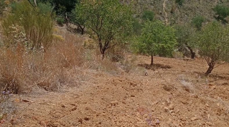 Malaga - Málaga - 25000m2
