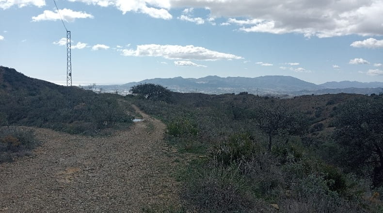 Malaga - Málaga - 25000m2