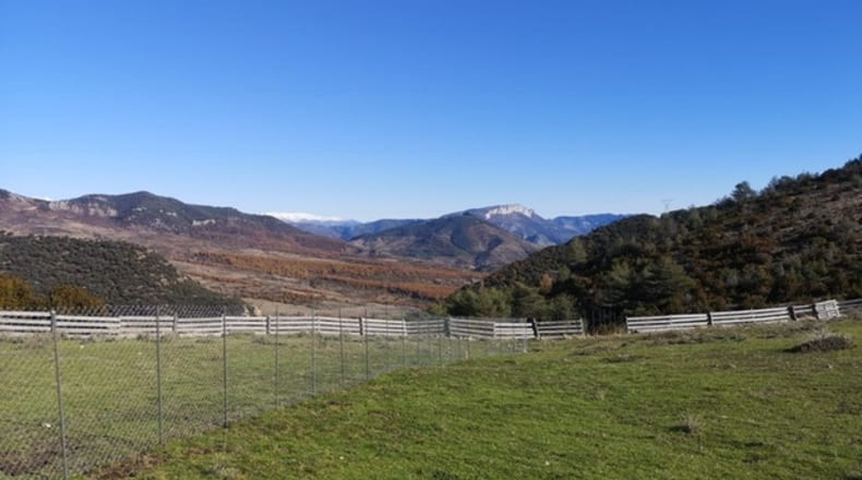 Huesca - Arén - 37554m2