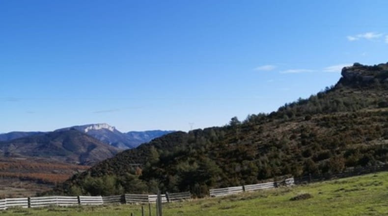 Huesca - Arén - 37554m2