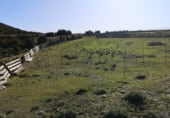Terreno no urbanizable en venta en la Polígono 18 Arén, Arén, ref: TR209423 foto