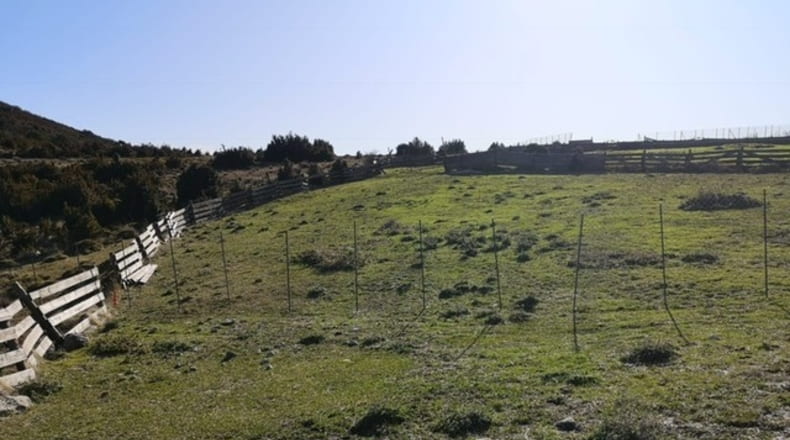 Huesca - Arén - 37554m2