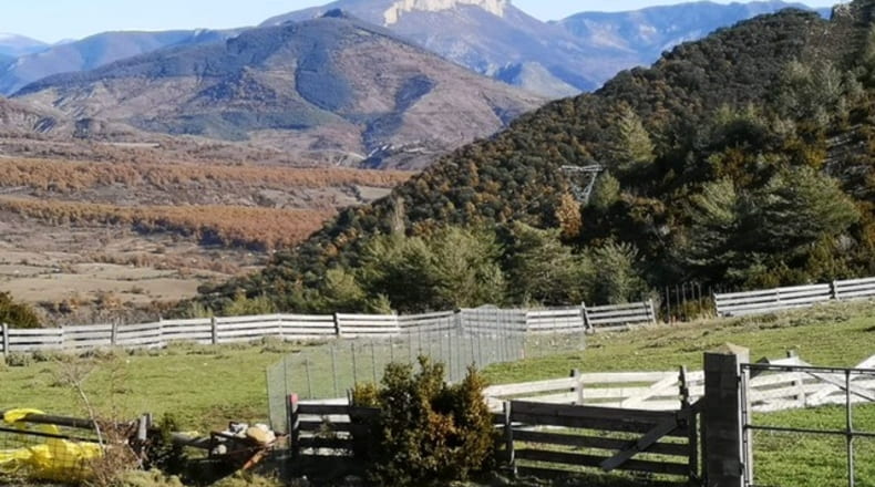 Huesca - Arén - 37554m2
