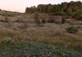 Земельный участок на продажу в городе la Fatarella Фото