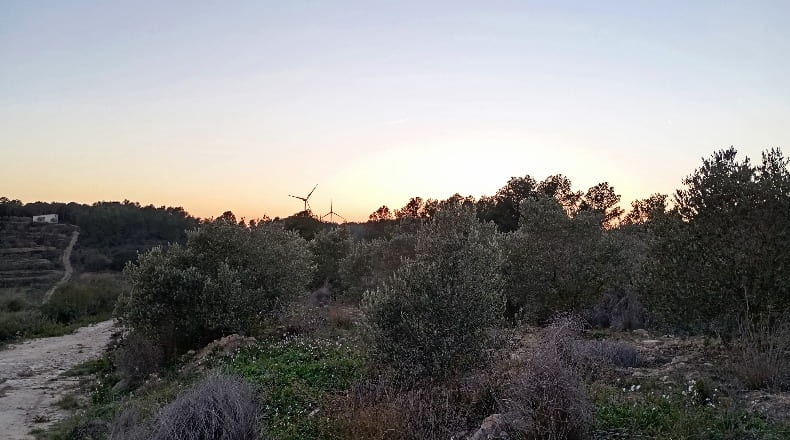 Tarragona - la Fatarella - 17300m2