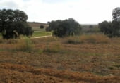 Terreno no urbanizable en venta en la Toledo, Torrijos, ref: TR36043 foto