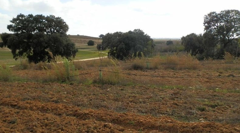Ciudad Real - Ciudad Real - 280000m2