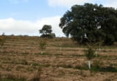 Terreno no urbanizable en venta en la Toledo, Torrijos, ref: TR36043 foto