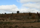 Terreno no urbanizable en venta en la Toledo, Torrijos, ref: TR36043 foto