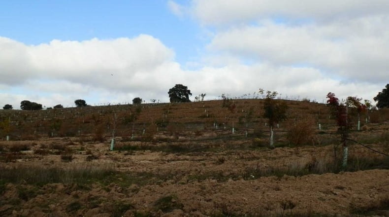 Ciudad Real - Ciudad Real - 280000m2