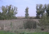 Terreny no urbanitzable en venda a la Polígono 502 Parcela 10017 LA HOGUERA. MACHACON (SALAMANCA), Nuevo Francos, ref.: TR209449 foto