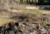 Land suitable for development for sale on Calle Corredera, Atienza, ref: TR209452 photo