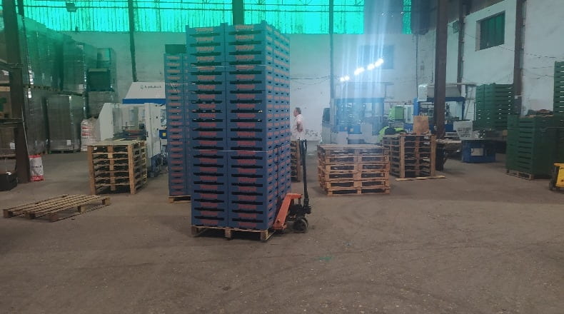 Sevilla - Tocina - 6900m2