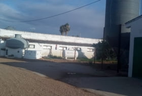 Foto 6