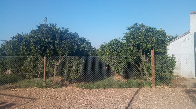 Badajoz - Badajoz - 8000m2