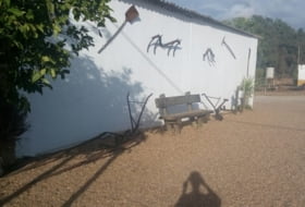 Foto 10