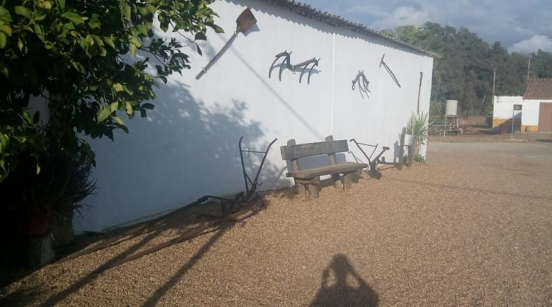 Badajoz - Badajoz - 8000m2