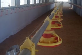 Foto 11