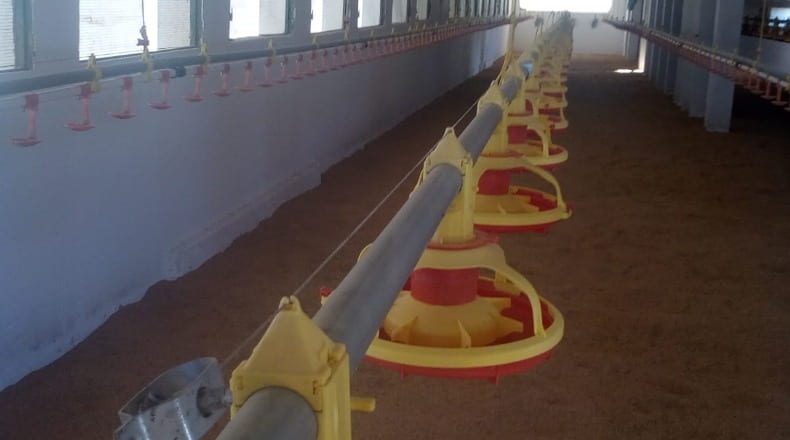 Badajoz - Badajoz - 8000m2
