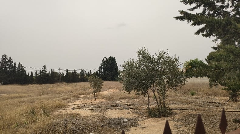 Múrcia - Las Torres de Cotillas - 2000m2