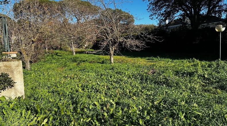 Barcelona - Cardedeu - 1080m2
