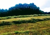 Non-developable land for sale on VALDUNO, Valduno, ref: TR209921 photo