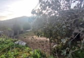 Terreny amb magatzem en venda a la Irias, ref.: TR209691 foto