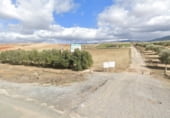 Land with storage building for rent on N-323a, Villa de Otura, ref: TR210254 photo