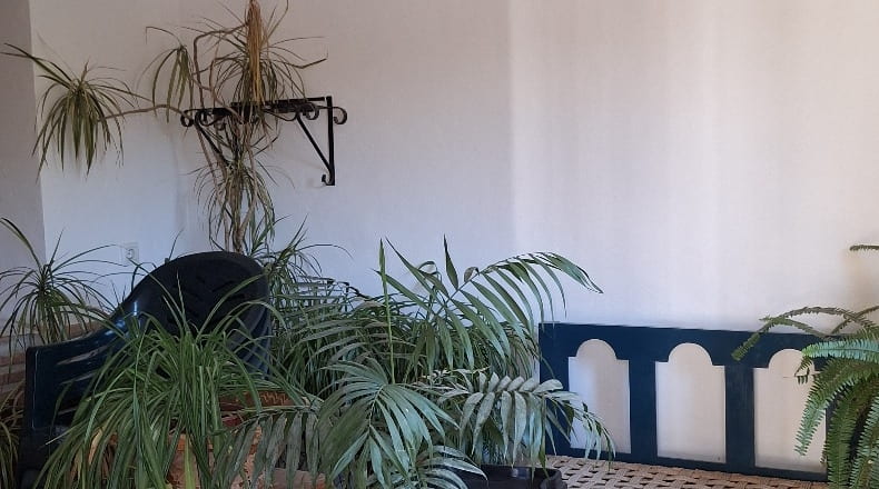 Granada - Castril - 7000m2