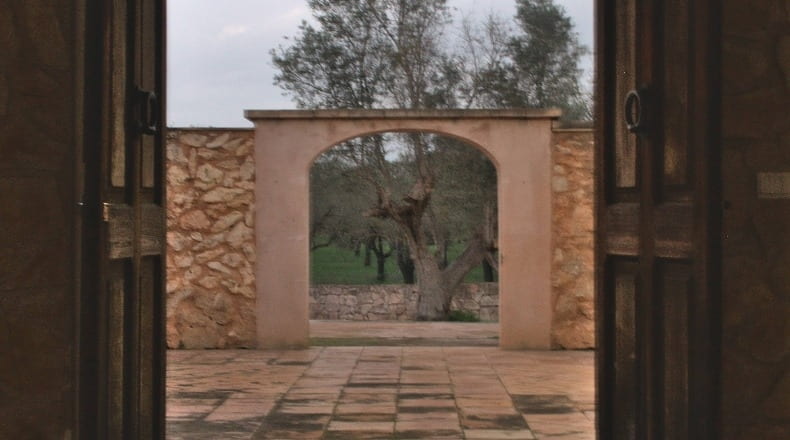 Illes Balears - Binissalem - 12900m2