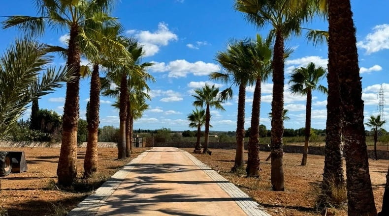 Illes Balears - Binissalem - 12900m2