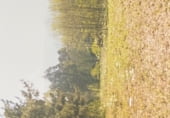 Land suitable for development for sale on Coído, ref: TR210951 photo