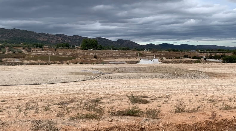 Valencia - Ayelo de Malferit - 11300m2