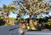 Chalet independiente con terreno en venta en la Calle Cruz Humilladero, Moratalla, ref: TR211296 foto