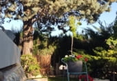 Chalet independiente con terreno en venta en la Calle Cruz Humilladero, Moratalla, ref: TR211296 foto