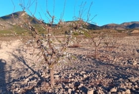 Lorca 150000&nbsp;m²