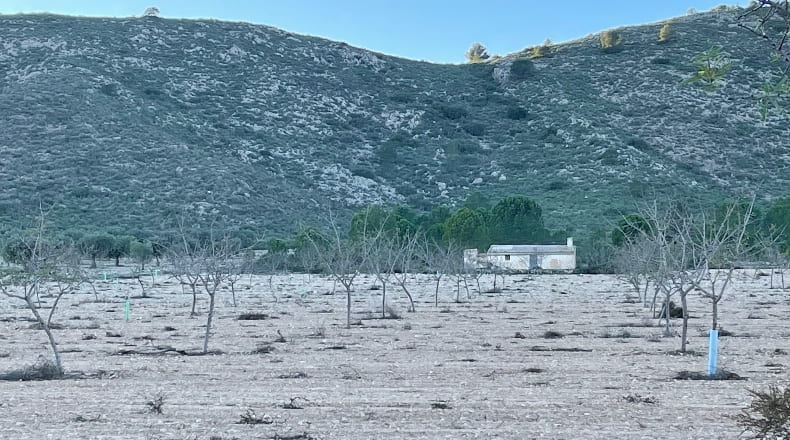 Murcia - Yecla - 3210000m2
