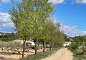 Finca rústica en venta en la Umbría de Peñas Blancas, Yecla, ref: TR98468 foto
