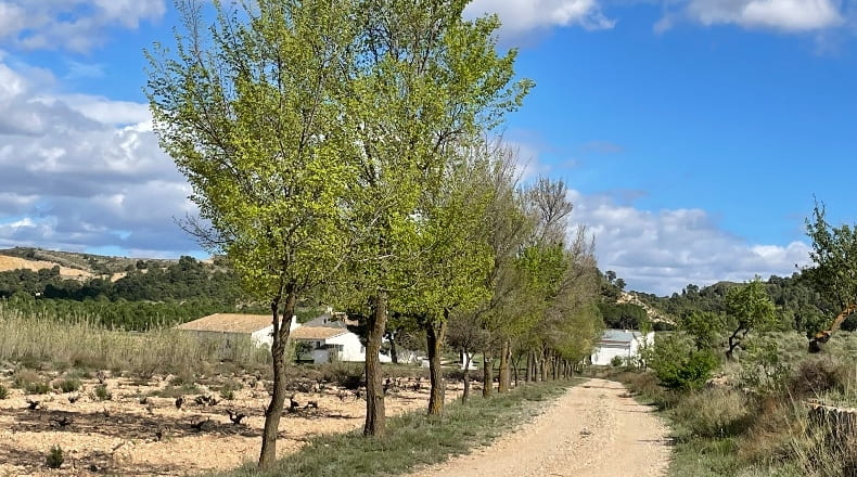 Murcia - Yecla - 3210000m2